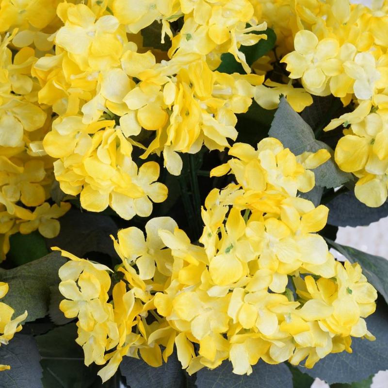 beautiful yellow flowers in the world 